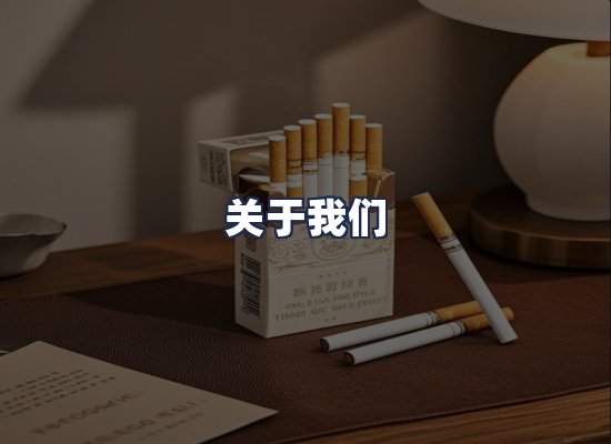 关于我们